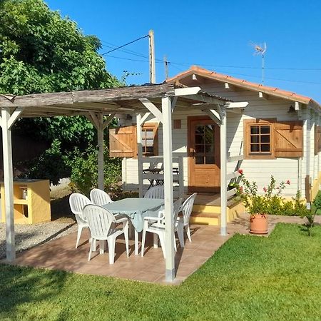 Cabana Blanca Roche Lucia Conil De La Frontera Exteriör bild
